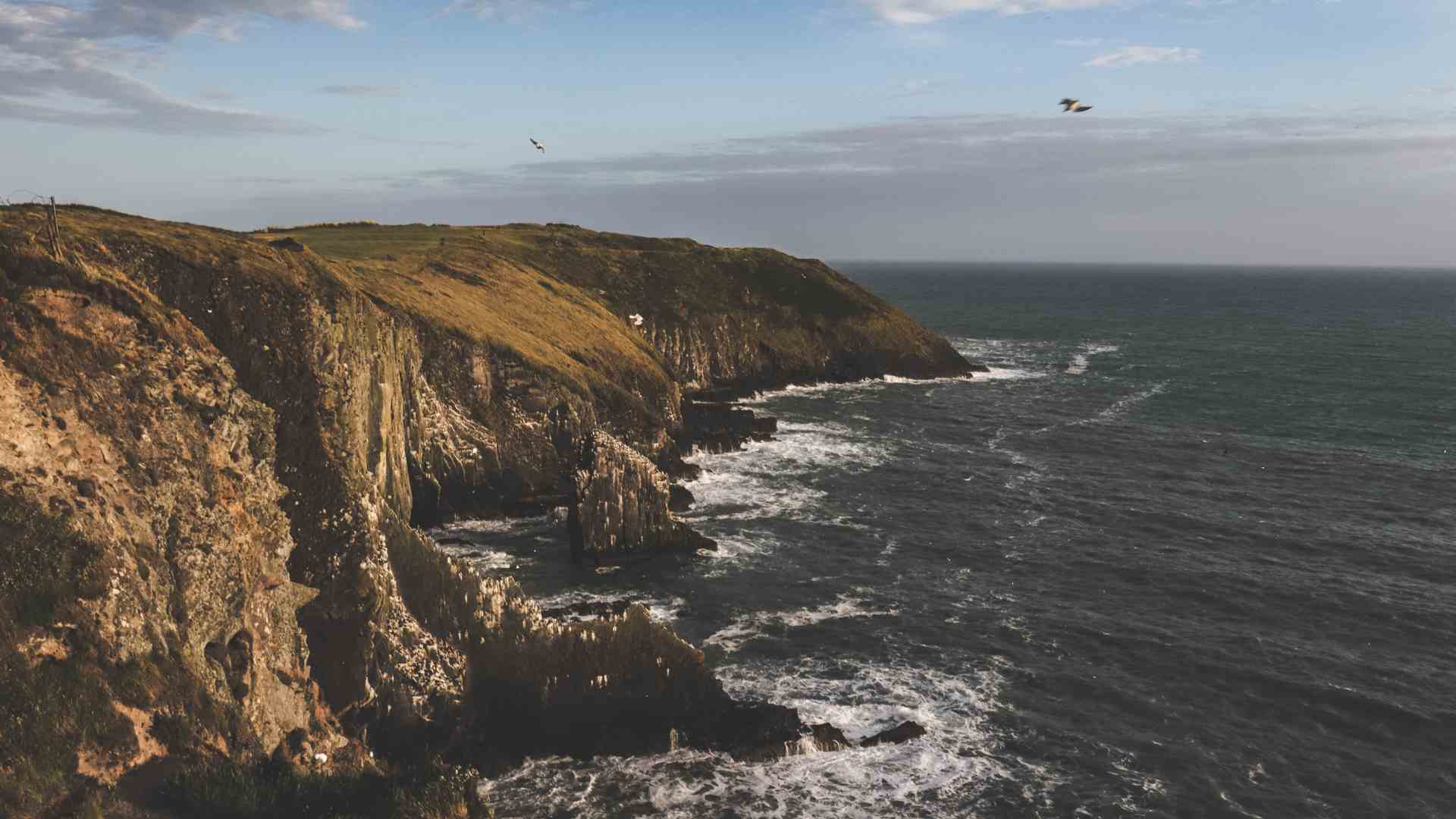 Cork Coastline