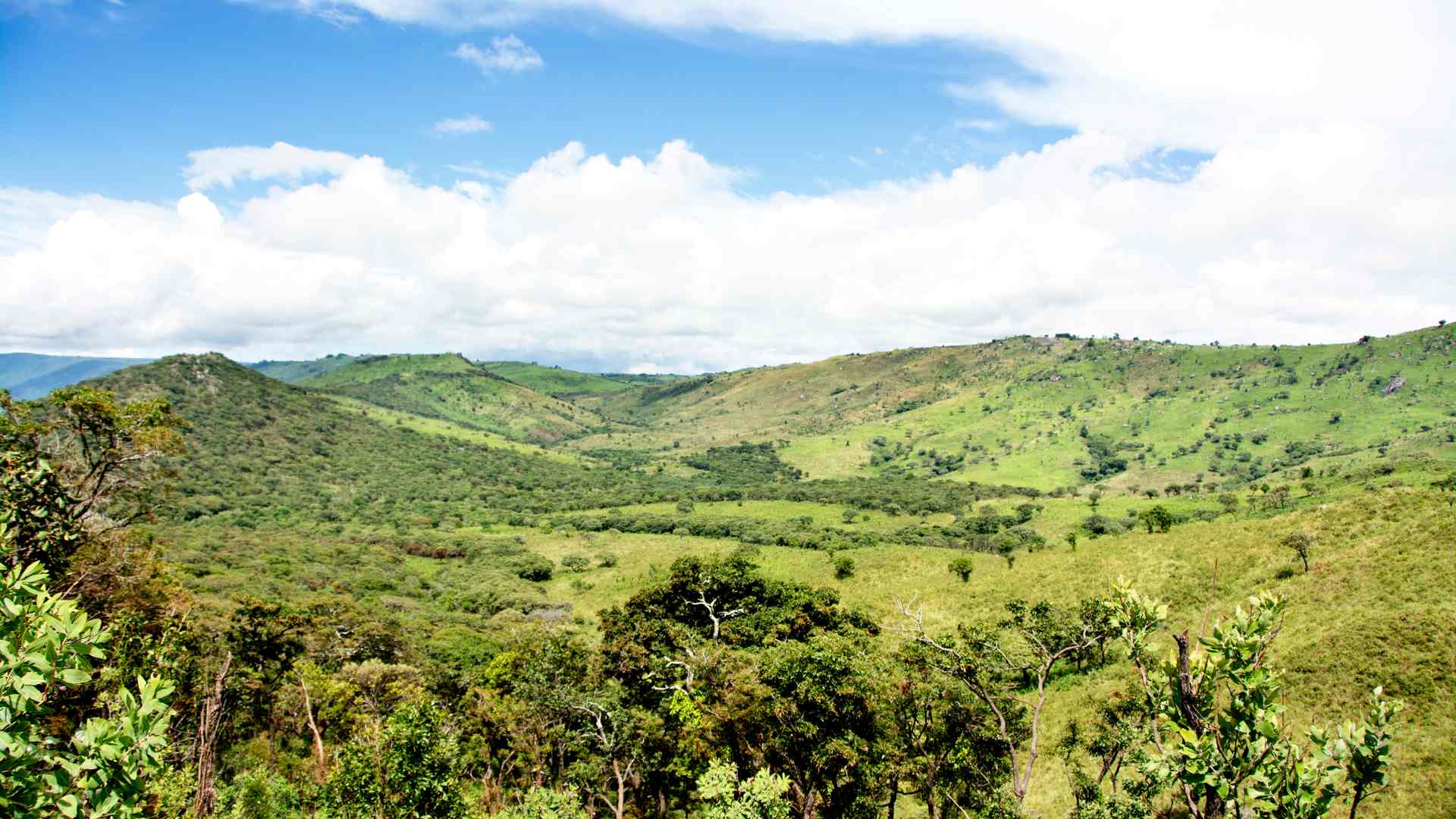 Nyika Plateau, Malawi