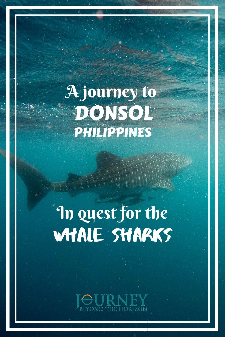 Make a journey to Donsol, Philippines, and join a whale sharks tour!