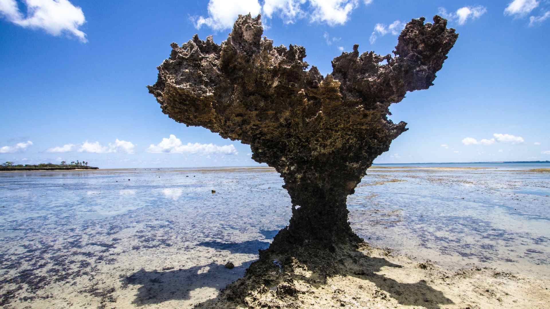 Quirimbas Archipelago, Mozambique